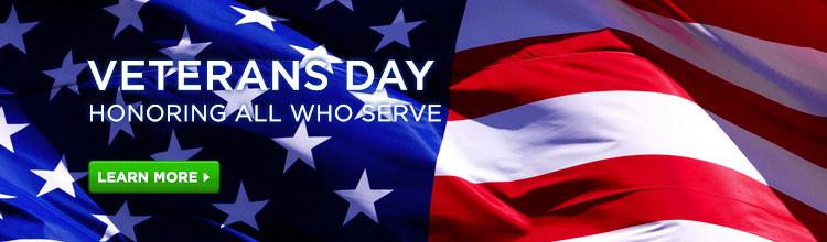 Veterans Day Honoring All Who Serve