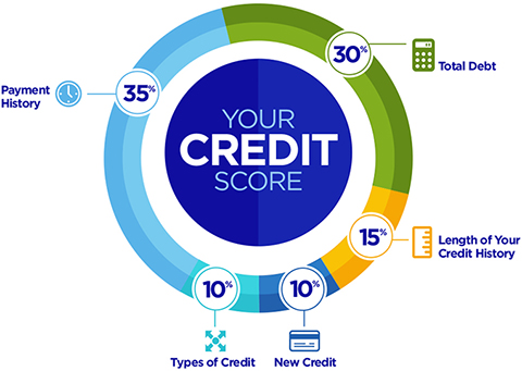 Your Credit Score Infographic