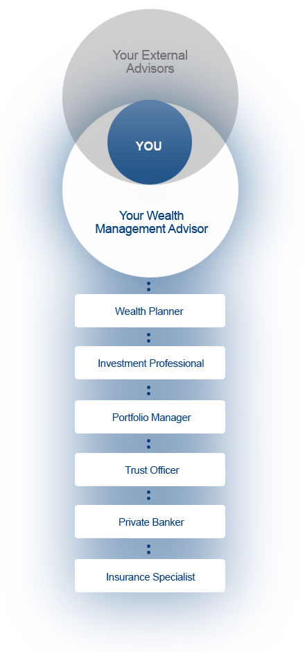 Wealth Management Process
